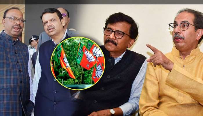 &#039;BJP ला ICU मध्ये नेण्याची तयारी करा&#039;, ठाकरेंची टीका; म्हणाले, &#039;अनुभवी भ्रष्टाचारी नेते..&#039;