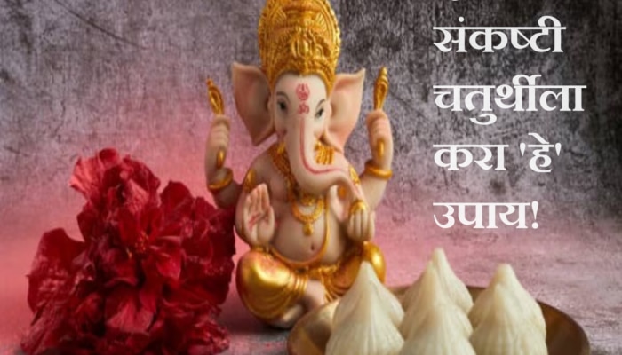 Sankashti Chaturthi 2024 : आर्थिक स्थिती सुधारण्यासाठी द्विजप्रिया संकष्टी चतुर्थीला करा &#039;हे&#039; उपाय!