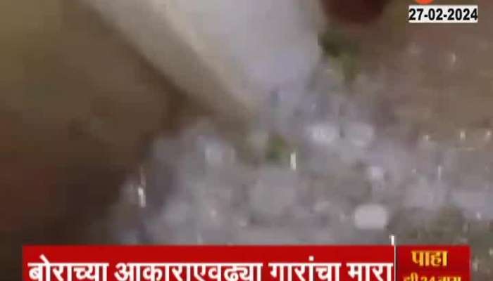 Akola Rainfall | Heavy rain with hail in Akola! Gram crop soil value; Farmer Hawaldil