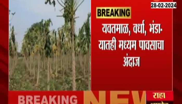 IMD Issue Yellow Alert In Various Parts Of Vidarbha