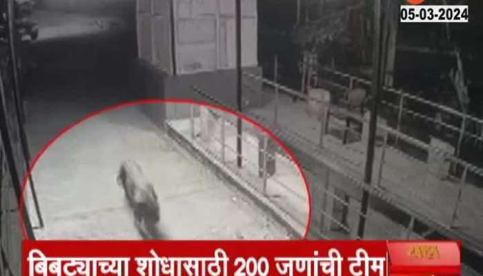 Pune Sachin Leopord missing leopards at katraj zoo