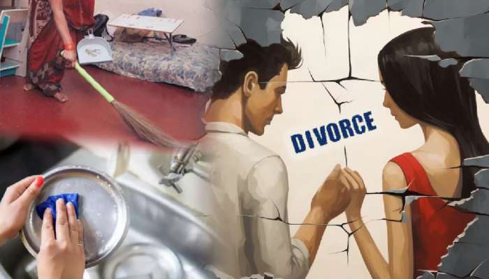 'पत्नीला घरातील कामं करायला सांगणं क्रूरता नाही!' हायकोर्ट म्हणालं, 'बऱ्याच घरात पती..'