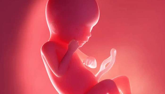 आता गर्भातच टाळता येणार बाळाचं अपंगत्वं; शास्त्रज्ञांनी सांगितले कारण... 