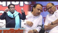 'माझं ठाम मत आहे की आतून सगळे..'; दोन्ही पवारांचा उल्लेख करत राज ठाकरेंचं विधान