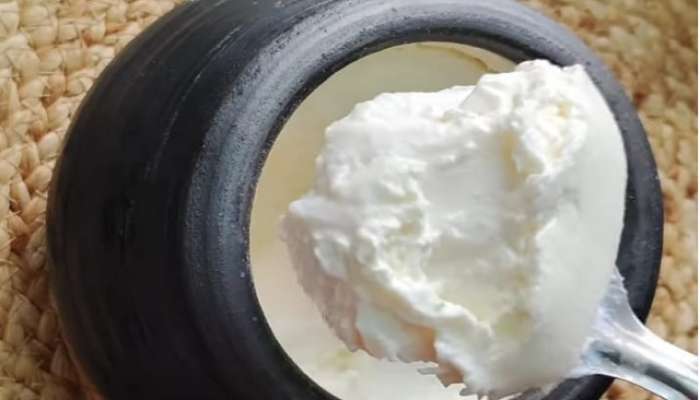 घरच्या घरी आईसक्रीम सारखं घट्ट दही बनवण्याची सोपी पद्धत 