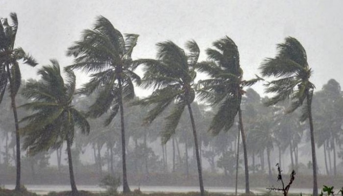 Maharashtra Weather Update: पुढचे 2 दिवस &#039;या&#039; भागांना अवकाळी पावसाचा फटका; जाणून घ्या हवामान अंदाज