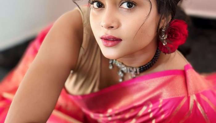 Actress Shivali Parab, Shivali Parab photoshoot, Shivali Parab photo in pink saree, Shivali Parab did you see,