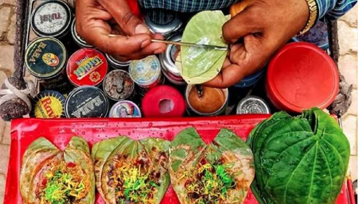 पान मसाले खाणाऱ्यांना 'या' आजाराचा धोका, लाखो खर्च करुनही बरा होणार नाही