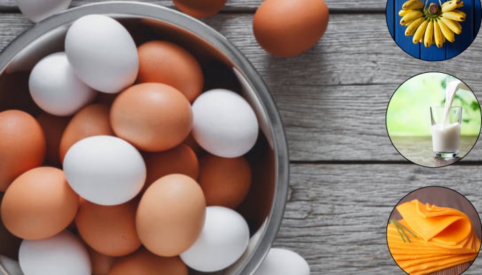 सावधान! अंड्यांसोबत कधीच खाऊ नका 5 पदार्थ, पोटात तयार होईल विष 