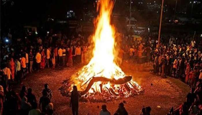'होळी सणासाठी वृक्षतोड कराल तर...' मुंबई मनपाने दिला इशारा