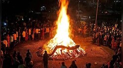 'होळी सणासाठी वृक्षतोड कराल तर...' मुंबई मनपाने दिला इशारा