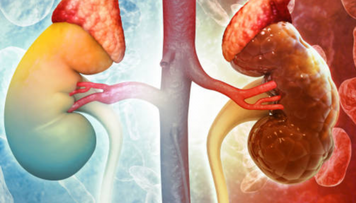 तिशीच्या टप्प्यातच Kidney चे विकार टाळा, 'या' 7 महत्त्वाच्या तपासण्या ठरतात महत्त्वाच्या
