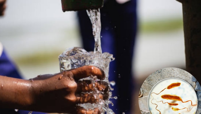 World Water Day 2024 : पाण्यातून होतात 5 आजार, चुकूनही कानाडोळा करु नका