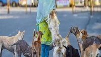 मुंबई: भटक्या श्वानांना मांस खाऊ घालणाऱ्या महिलेविरोधात गुन्हा दाखल