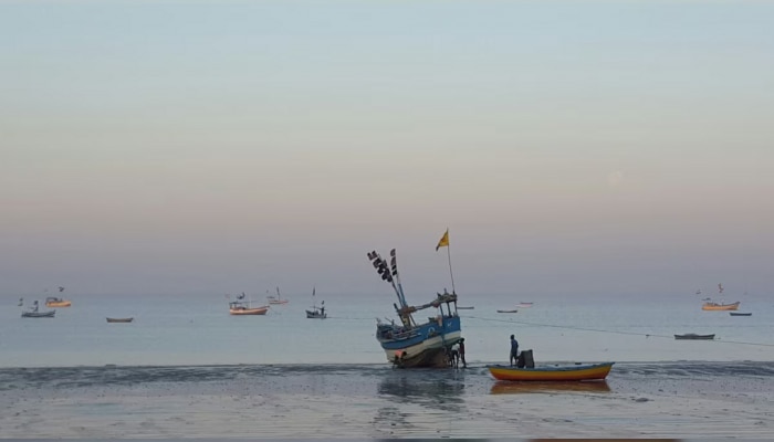 Viral News : रातोरात झाले लखपती! डहाणूकर मासेमारांना समुद्रातच लागली लॉटरी