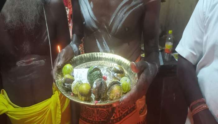 पती-पत्नीने 50 हजारांना विकत घेतला एक लिंबू, कारण वाचून डोक्याला हात लावाल; 9 लिंबूंची 2.36 लाखांना विक्री