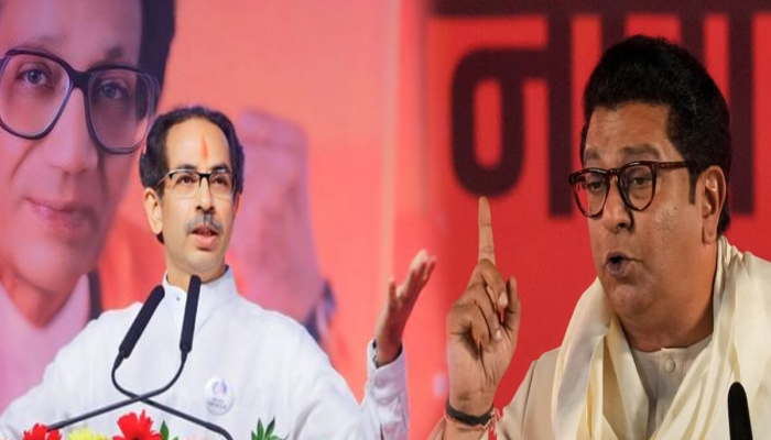 'बाळासाहेबांवरही हिंदुत्व सोडल्याची टीका केली असती'; नाव न घेता अभिनेत्याचा राज ठाकरेंना टोला