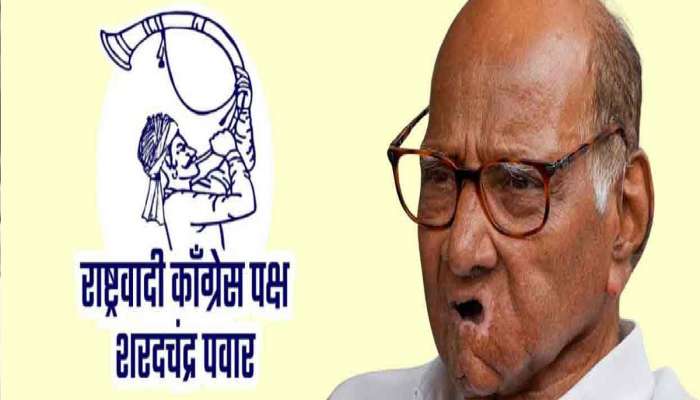 राष्ट्रवादी शरदचंद्र पवार गटाची दुसरी यादी जाहीर, बीडमध्ये पंकजा मुंडेंना आव्हान
