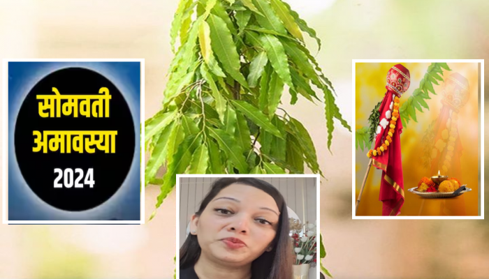 Vastu Tips : शोक हरणारे अशोकाचे झाड तुमच्याकडे आहे का? सुख समृद्धीसाठी सोमवती अमावस्या आणि गुढीपाडव्याला करा 'हे' उपाय 
