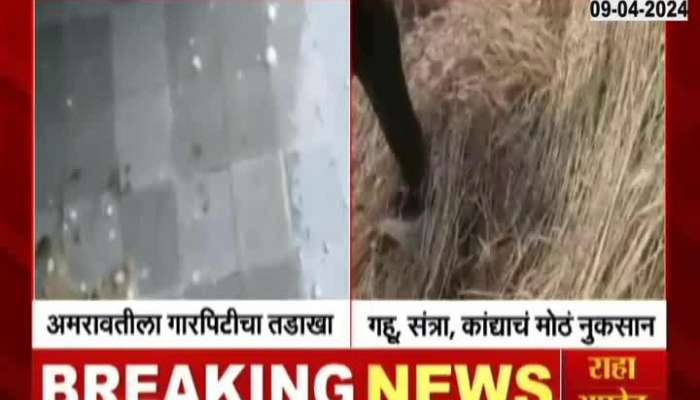 Rain lashed Amravati district, heavy loss of vegetables due to hailstorm