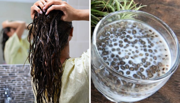 Hair Tips : उन्हाळ्यात केसांना चिया सीड्स लावण्याचे फायदे, लांबसडक आणि सरळ होतील केस 
