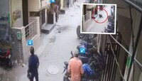 पिटबूलपासून मुलाची सुटका करण्यासाठी भटके कुत्रे धावले; पण लोक फक्त पाहत राहिले