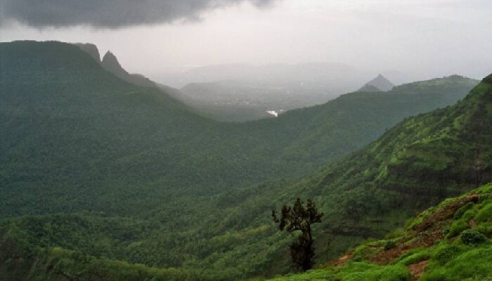 Monsoon 2024 : मान्सून नेमका कधी येणार? शेतकऱ्यांसह संपूर्ण देशाला दिलासा! 