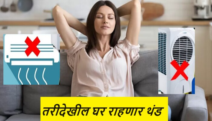 AC, कुलर न घेता भर उन्हाळ्यातही घर कसं राहील थंडगार? जाणून घ्या उपाय 