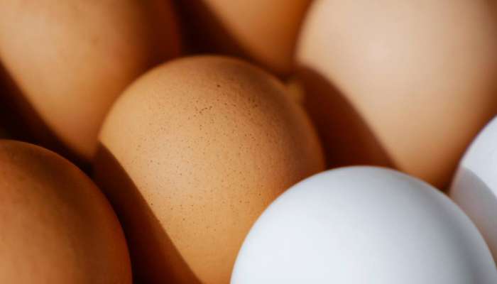 पनीर की अंड? प्रोटीनचं प्रमाण कशात असतं अधिक?