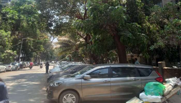 रस्त्यावर झाडांखाली कार पार्क करणाऱ्यांसाठी मोठी बातमी, मुंबई महापालिकेने घेतला &#039;हा&#039; निर्णय 
