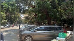झाडांखाली कार पार्क करणाऱ्यांसाठी मोठी बातमी, मुंबई महापालिकेने घेतला 'हा' निर्णय 