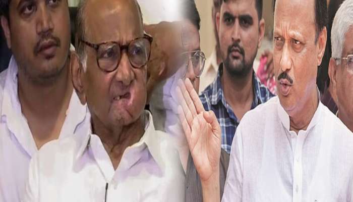 'कुटुंबातले लोक कामं सोडून राजकारणात सक्रिय झालेत'; अजित पवारांची शरद पवारांवर घणाघा
