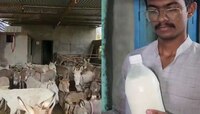 गाढवाचं दूध विकून तरुण महिन्याला कमावतोय 3 लाख रुपये; 5000 रुपये लिटर दराने विक्री