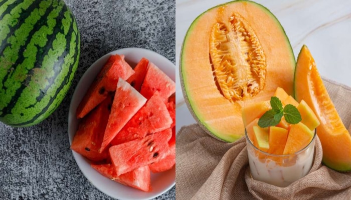 Watermelon Vs Melon : टरबूज की खरबूज? उन्हाळ्यात कोणतं फळ जास्त hydrating?