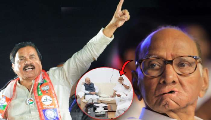 राज्यात 8 वर्षांपूर्वीच येणार होतं BJP-NCP सरकार, पण पवारांनी..; तटकरेंचं 'ओपन चॅलेंज'