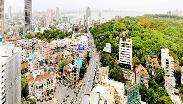 Mumbai News : सही रे सही! मध्य मुंबईपासून दक्षिण मुंबईपर्यंत, नागरिकांच्या सेवेत येणार &#039;हा&#039; नवा रस्ता