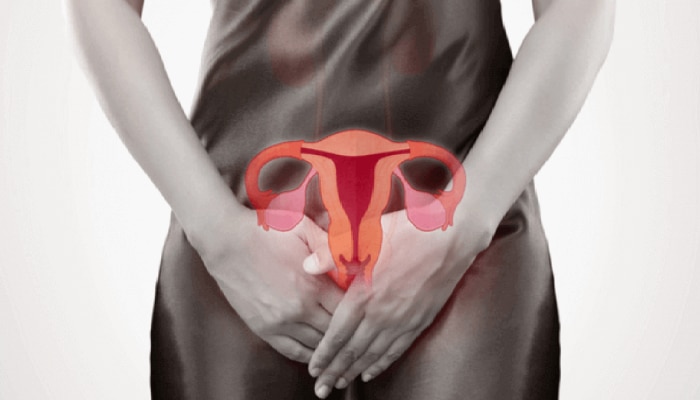 योनीमार्गात &#039;हे&#039; बदल दिसले तर सावध व्हा; Vaginal Cancer ची लक्षणं काय आहेत?