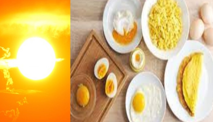 उन्हाळ्यात अंडी खावीत की नाही? दिवसाला किती सेवन करावं? न्यूट्रिशनिस्टचा हा सल्ला ठरेल फायदेशीर