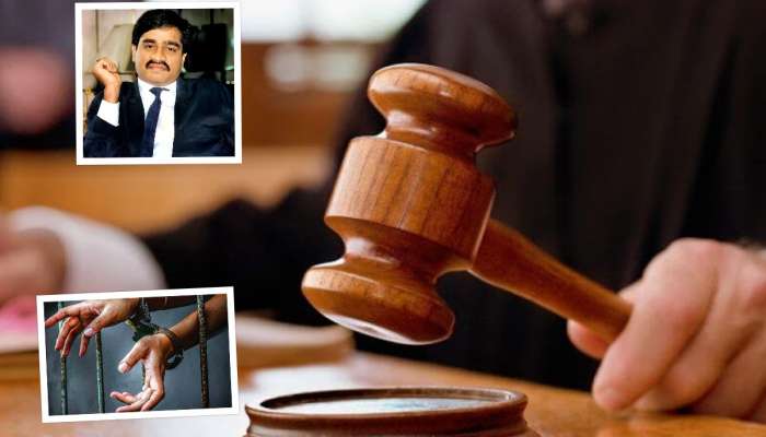 '...मग तर दाऊदही निवडणूक लढेल,' दिल्ली हायकोर्टाने याचिकाकर्त्याला सुनावलं, 'तुम्हाला काय आम्ही...'