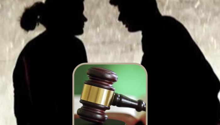 'पत्नीसोबत अनैसर्गिक शरीर संबंध गुन्हा नाही', कोणत्या प्रकरणात हायकोर्टाने दिला निर्णय?