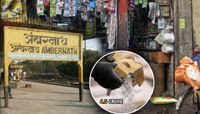 धक्कादायक! अंबरनाथमधल्या जनरल स्टोअर्समध्ये सापडले 4.5 कोटींचे ड्रग्ज; UP कनेक्शन