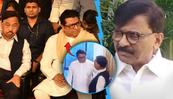 राणेंनी मंत्रीमंडळात काय दिवे लावले? राऊतांचा सवाल; राज ठाकरेंना म्हणाले, 'वकिली करणाऱ्यांनी..'