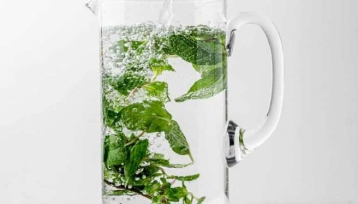 mint water, Pudina Water For Weight Loss,mint benefits, weight loss, digestion, summer tips, summer care tips, Health,Pudina Water benefits, health, health news, health news in marathi, lifestyle, lifestyle news, lifestyle news in marathi, 