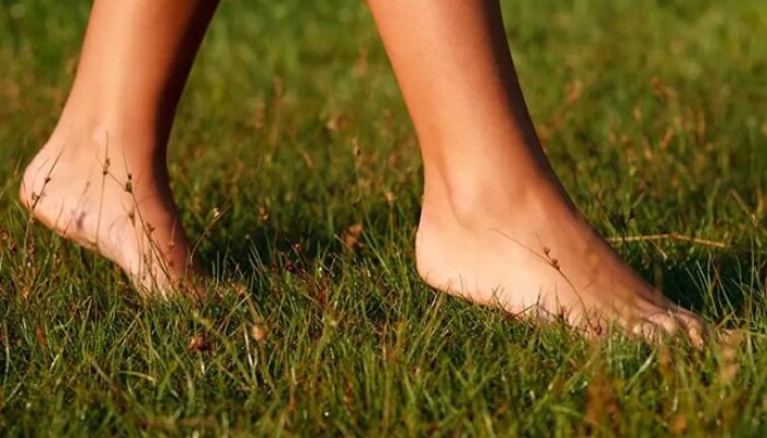 benefits of walking barefoot, benefits of walking barefoot on grass, benefits of walking barefoot on earth, benefits of walking barefoot on grass in the morning, benefits of walking barefoot on wet grass, benefits of barefoot walking on grass, benefits of walking barefoot on grass health news, health update, news, गवतावर अनवाणी चालण्याचे फायदे, अनवाणी चालण्याचे फायदे 