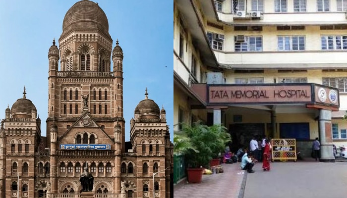 Mumbai Jobs: बीएमसी आणि टाटा मेमोरियलमध्ये मेगाभरती, मुंबईतील चांगल्या पदांच्या नोकरीसाठी &#039;असा&#039; करा अर्ज