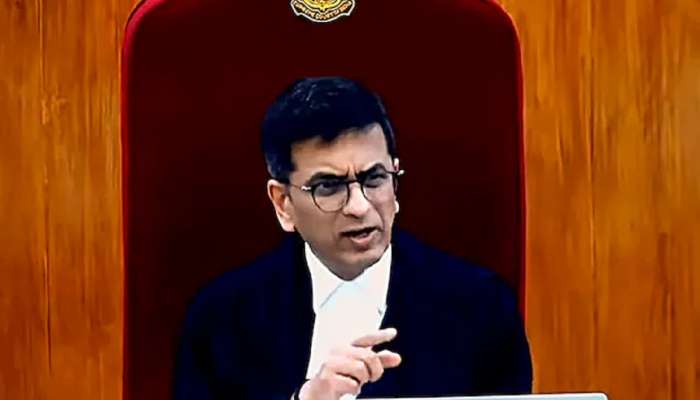 '...तर लोकांचा विश्वास उडून जाईल,' सरन्यायाधीश डी वाय चंद्रचूड यांनी सुनावलं, 'कसं काय तोंड द्यायचं?'