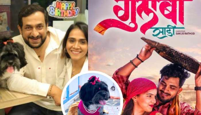 फ्रॉक, टिकली सगळंच 'गुलाबी'.... संजू राठोडच्या गाण्यावर प्रसाद- मंजिरी ओकच्या श्वानाचा हटके लूक