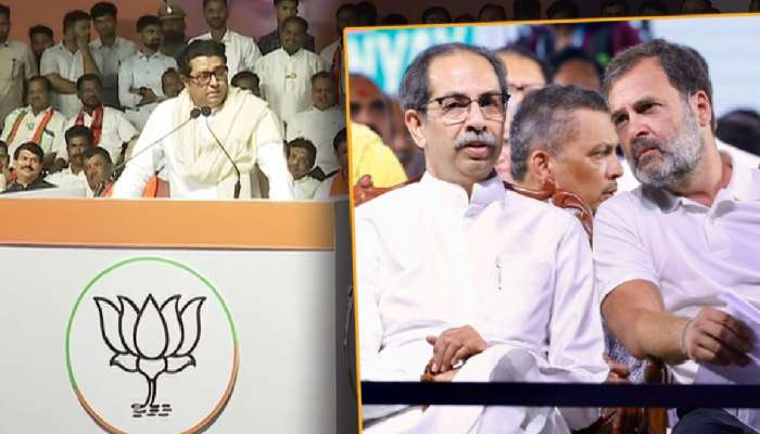 'पुन्हा काँग्रेसचं सरकार आलं तर..', पुण्यातून राज ठाकरेंचा इशारा; म्हणाले, 'हा राज ठाकरे..'
