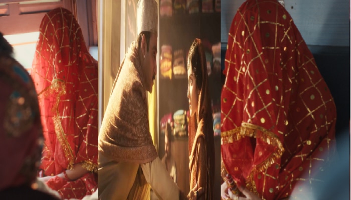 PHOTO : लापता लेडीजमधील अभिनेत्रीचे Heeramandi शी कनेक्शन, Preity Zinta आणि आमिर खानशी संबंध