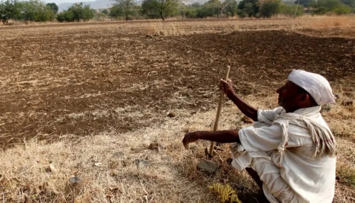 चार महिन्यात 267 शेतकऱ्यांनी संपवलं आयुष्य; निवडणुकांच्या धामधुमीत चिंता वाढवणारी आकडेवारी समोर